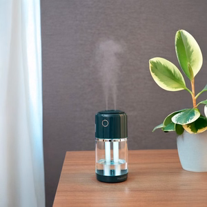 Aromatherapy machine / humidifier / diffuser H10 green