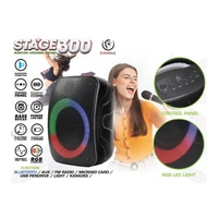Rebeltec Bluetooth garsiakalbis STAGE 300 juodas