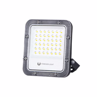 Floodlight LED PROXIM+ 30W 6500K 4500lm 230V IP65 Forever Light 150lm/W 5 years warranty