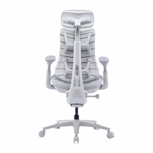 LiberNovo Omni Pro 45 cm Ergonomic Chair (White)