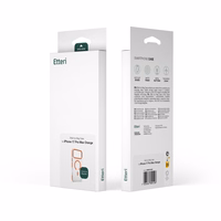 Etteri Icy Mag dėklas telefonui iPhone 16 Pro 6,3" auksinis