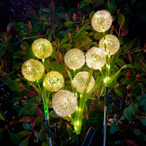 Rebel decorative solar garden lights, ornamental allium