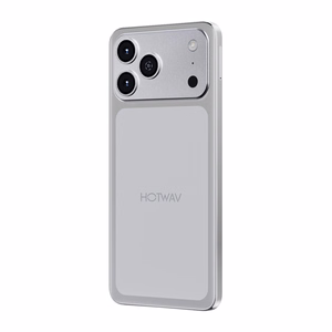 HOTWAV A17 Pro Max išmanusis telefonas (sidabrinis)