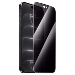 Borofone BF10 Armor visą ekraną dengiantis grūdintas stiklas ekranui, privatumo filtras, skirtas iPhone 17e/16e/14/13/13 Pro, 10 vnt.