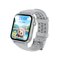 Borofone Smartwatch BD15 silver