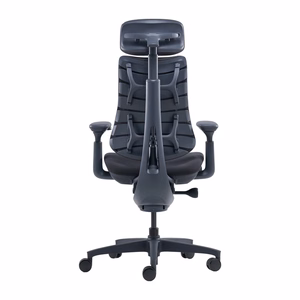 LiberNovo Omni 48 cm Ergonomic Chair (Black)