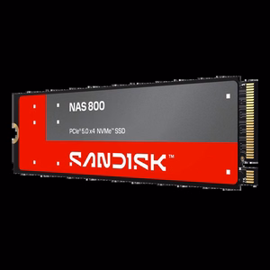 SSD SanDisk NAS 800, 960 ГБ, M.2, PCIe 5.0, NVMe, 3D TLC NAND