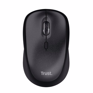 Trust TM-201 kompiuterio pelė Biuras Dešinės rankos Radijo dažnio belaidė Optinis 1600 DPI