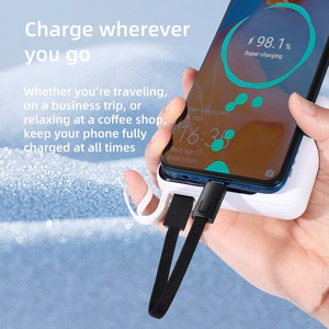 Tech-Protect Ultraboost DNA laidas su pakabuku USB-C PD 60W / 3A - pilkas