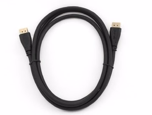 Gembird CC-DP2-10 DisplayPort laidas 3 m juodas
