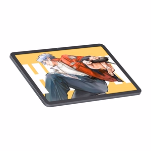 Grafinė planšetė HUION Kamvas Pad 12 KP1202
