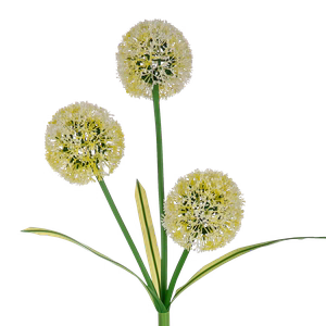 Rebel decorative solar garden lights, ornamental allium