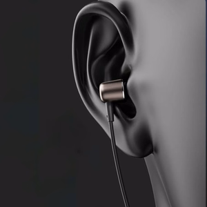 Проводные наушники Dudao X1PROT USB-C внутриканальные 1.2 м - чёрные