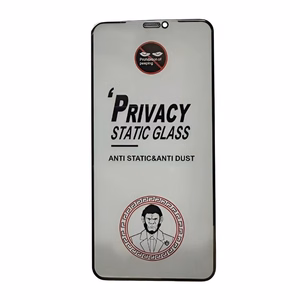LCD apsauginis stikliukas ESD Anti-Static Privacy Apple iPhone X/XS/11 Pro