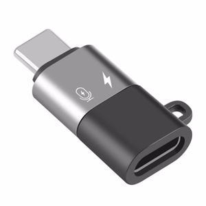 Puluz 8-Pin to USB-C OTG Adapter (Black)