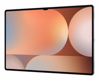 Samsung Galaxy Tab S10 Ultra 5G LTE-TDD & LTE-FDD 256 GB 37,1 cm (14.6") 12 GB Wi-Fi 7 (802.11be) Platina, Sidabras