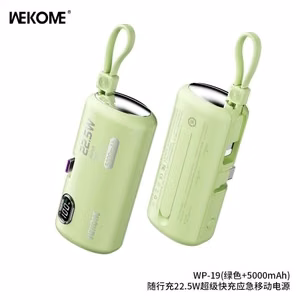 Išorinė baterija WK Design „WP-19 Companion“ žalsva 5000mAh (22.5W)