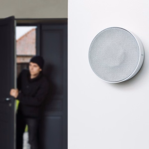 Netatmo NA-NIS01 Belaidė sirena Vidaus Balta