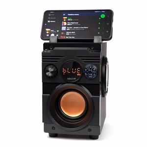 SQUEAK garsiakalbis BASSBLASTER BLUETOOTH 5.1 SQ1001