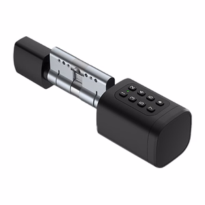 Avatto SDL-V1-B60 60mm sidabrinis skaitmeninis spyną cilindras