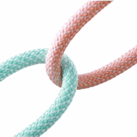 USB Laidas Joyroom "SA34-AC6" violetinis "Type-C" 100cm (iki 100W)