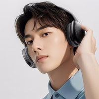 Rock Ausinės O5 belaidės Bluetooth pilkos