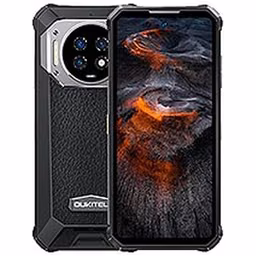 WP19