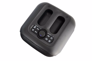 Blaupunkt PB6LED Nešiojamas / vakarėlių garsiakalbis juodas