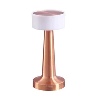 Night lamp WDL-01 wireless rose gold