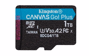 Kingston Technology Canvas Go! Plus 1 TB MicroSD UHS-I Klasės 10