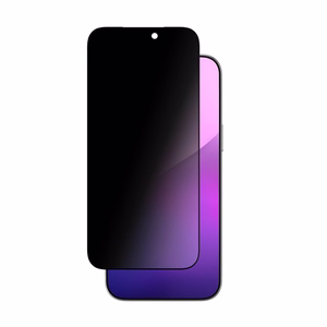 AmazingThing Radix privatumo temperuotas stiklas skirtas iPhone 17
