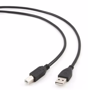 Gembird CCP-USB2-AMBM-6 USB laidas 1.82 m USB A USB B juodas