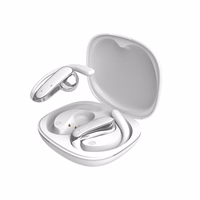 Dudao U17Z Bluetooth 5.3 OWS ausinės with Ear Hooks - baltas