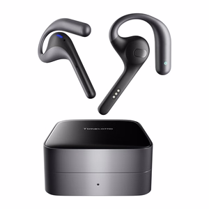 TIMEKETTLE W4 Pro vertimo ausinės