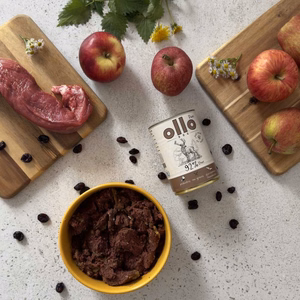 OLLO Pure Elnias – šlapias šunų maistas – 850 g