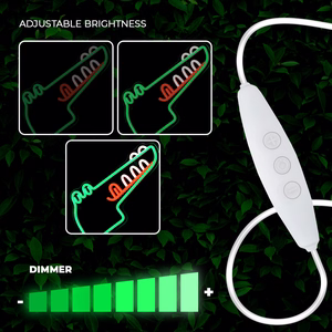 Neon PLEXI LED JURASSIC CROC žalias FLNJ03 Forever Light