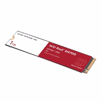 Western Digital raudonas SN700 1 TB M.2 PCI Express 3.0 NVMe