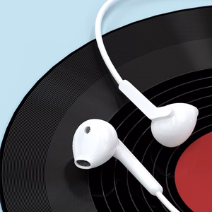 Dudao X3C įstatomos laidinės USB-C ausinės 1.2m - baltos