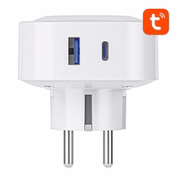 Gosund SP6 16A USB-C 20W Tuya išmanusis WiFi/Bluetooth lizdas