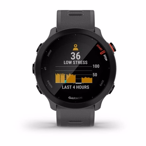 Garmin Forerunner 55 MIP 42 mm Skaitmeninis 208 x 208 pikseliai Lietimui jautrus ekranas Pilka GPS (palydovinis)