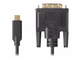 LANBERG USB-C į DVI-D 24+1 laidas M/M 3m