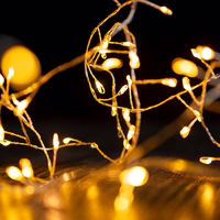 Forever Light Solar LED Lempa SUNARI FLS-82 Copper wire 22m 600mAh Ni-MH