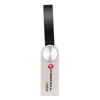FORCELL F-DATA USB atmintukas Metal 128GB USB3.2 Gen 1 (USB A) sidabrinis