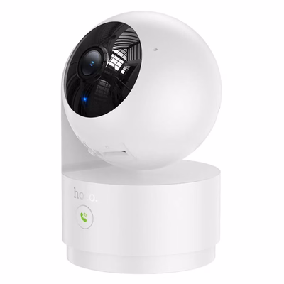 IP Cameras
