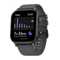Zeblaze GTS 3 GPS smartwatch (gray)