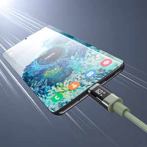 Choetech XCC-1068 PD 60W USB-C - USB-C laidas su ekranėliu 1.2 m - žalias