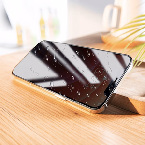 Borofone BF7 Diamond Armor Anti-spy grūdintas stiklas iPhone 12 Pro Max (10 vnt. rinkinys)