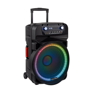 60 W aktyvioji kolonėlė su 2 belaidžiais UHF mikrofonais, SD, Bluetooth, FM, USB ir LED