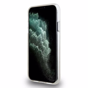 DKNY IML languotas mono raštas ir spausdintos juostos magnetinis dėklas iPhone 11 / Xr - rožinis