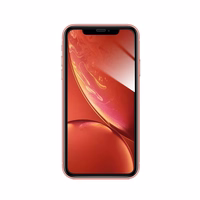 Forcell lankstus Nano stiklas Iphone Xr/11